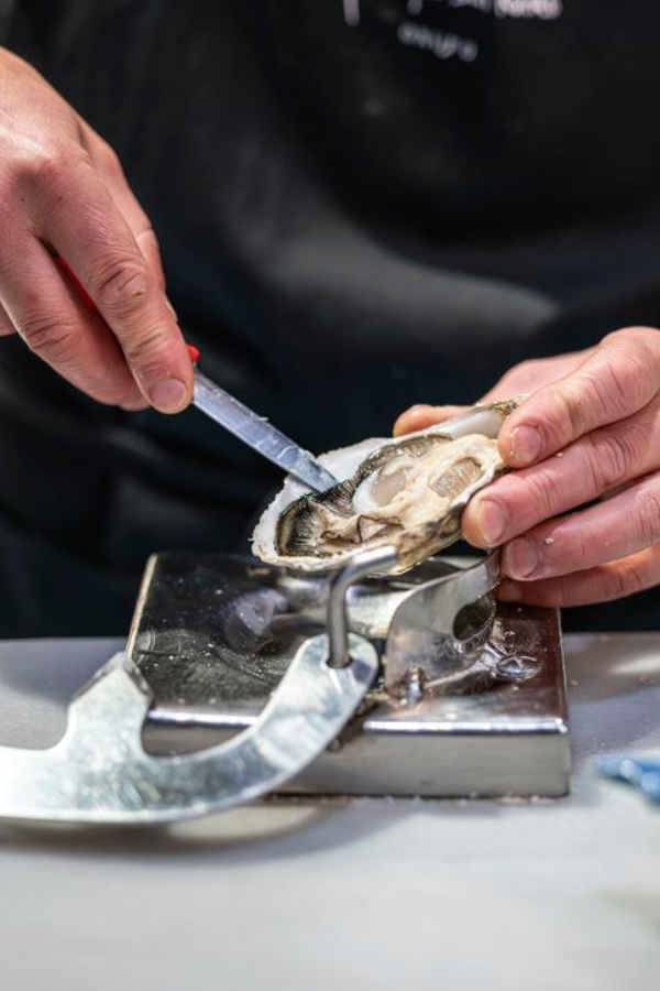 ostras la taberna del gourmet