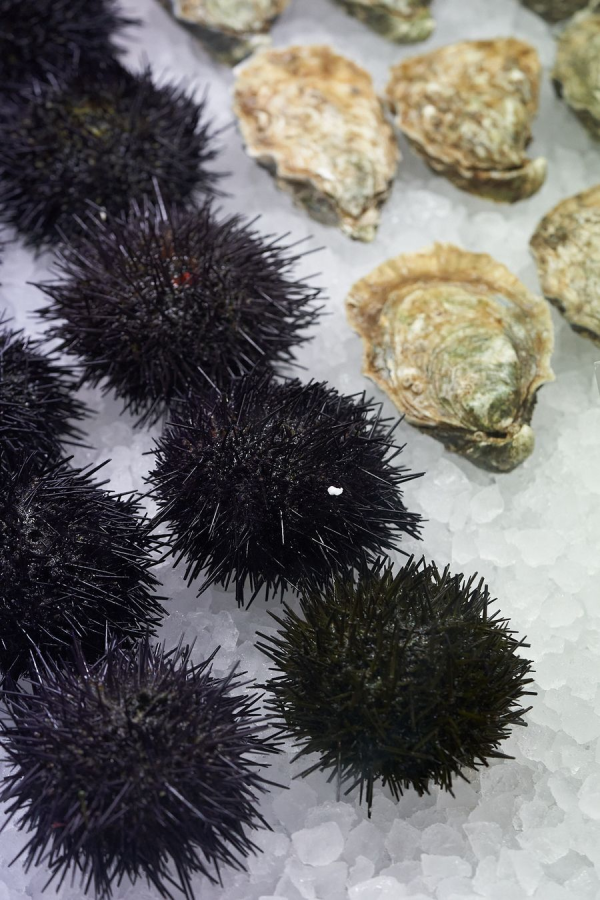 productos del mar la taberna del gourmet
